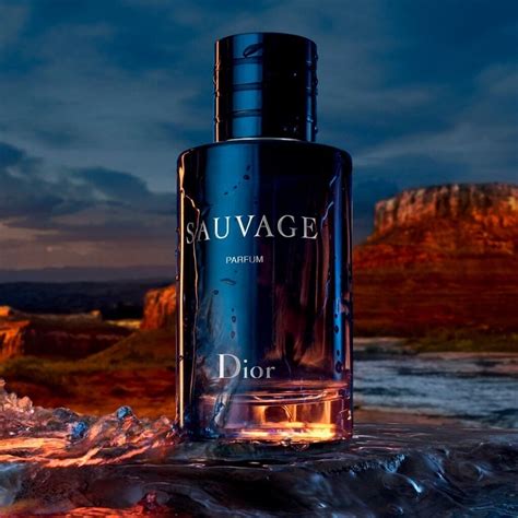 dior sauvage twitter|sauvage dior best price.